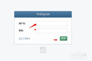 Instagram登录教程快速访问个人账户的步骤